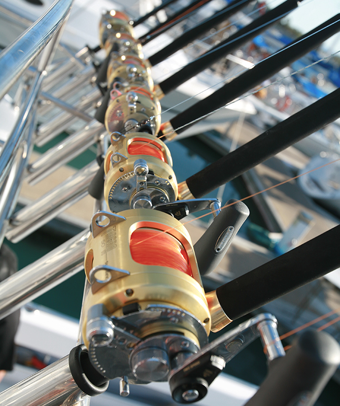 Close up of fishing rod handles lined up as part of qualia fishing charter tour