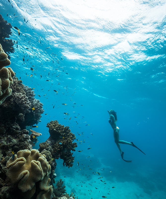 qualia woman observing fish and coral underwater in Great Barrier Reef with snorkel and flippers