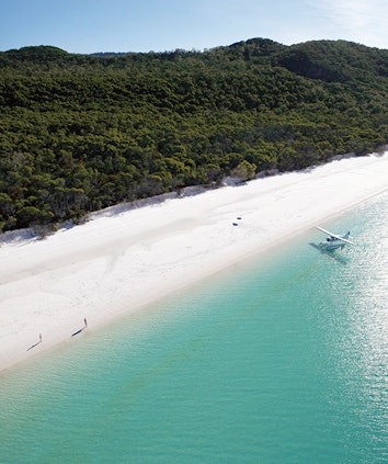 Seaplane landed on Whitehaven Beach with couple standing in sand and trees in the background as part of qualia experience