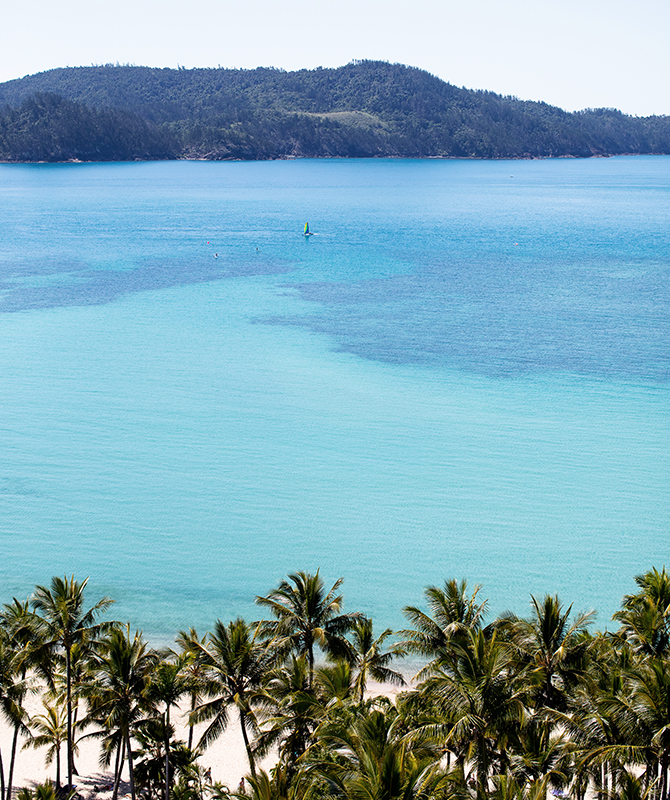 Catseye Beach with palm trees in foreground and turqouise Whitsunday waters dotted with watersports participants