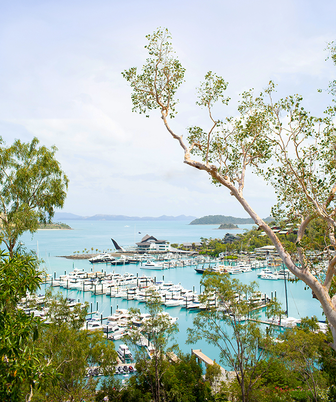 Hamilton Island marina with boats lined up viewed through bushes, with Whitsundays in background