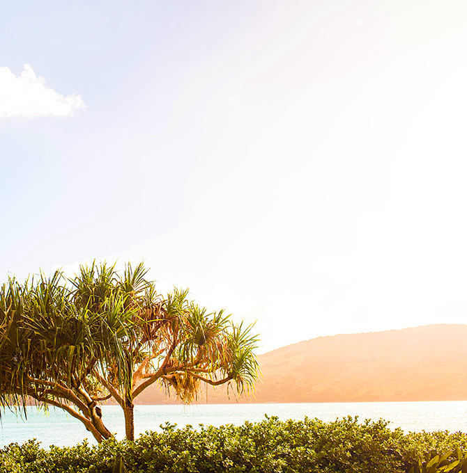 Sun shining over tree and bushland from the Whitsundays from qualia resort 