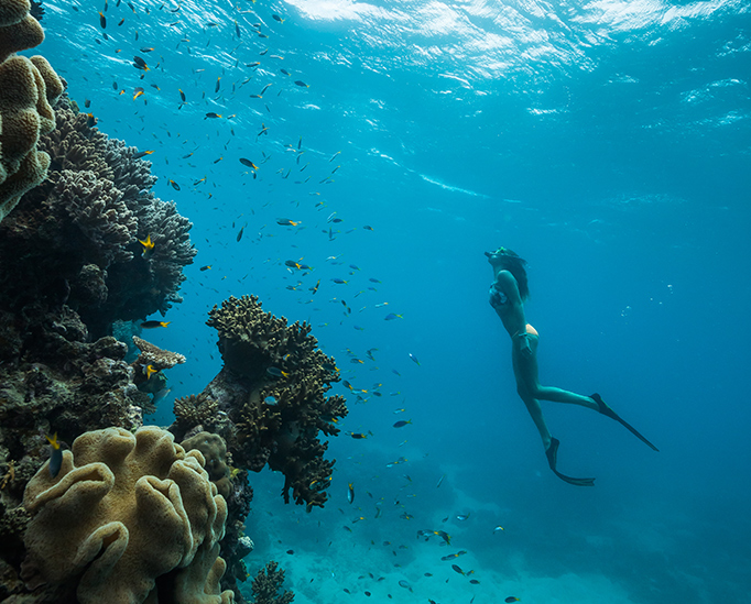 qualia woman observing fish and coral underwater in Great Barrier Reef with snorkel and flippers