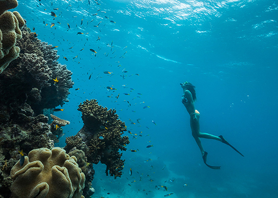 qualia woman observing fish and coral underwater in Great Barrier Reef with snorkel and flippers