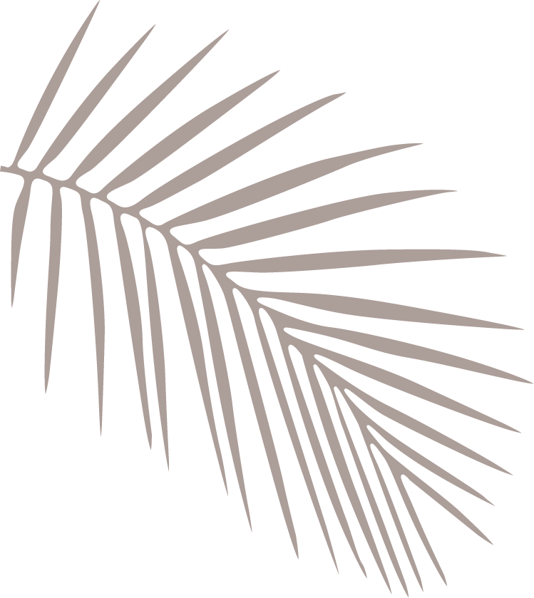 brown palm fronds facing towards the right against black background
