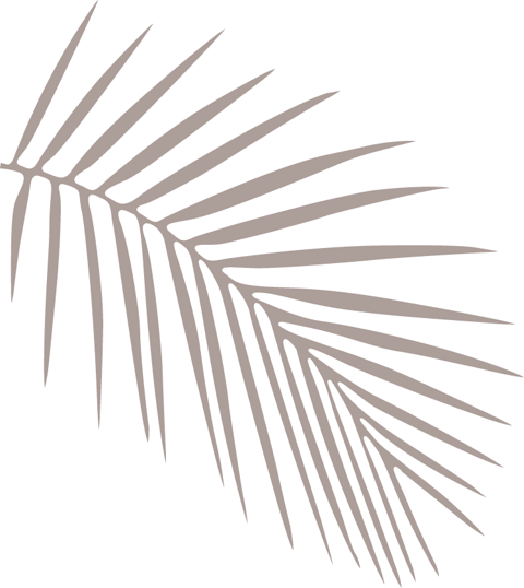 brown palm fronds facing towards the right against black background