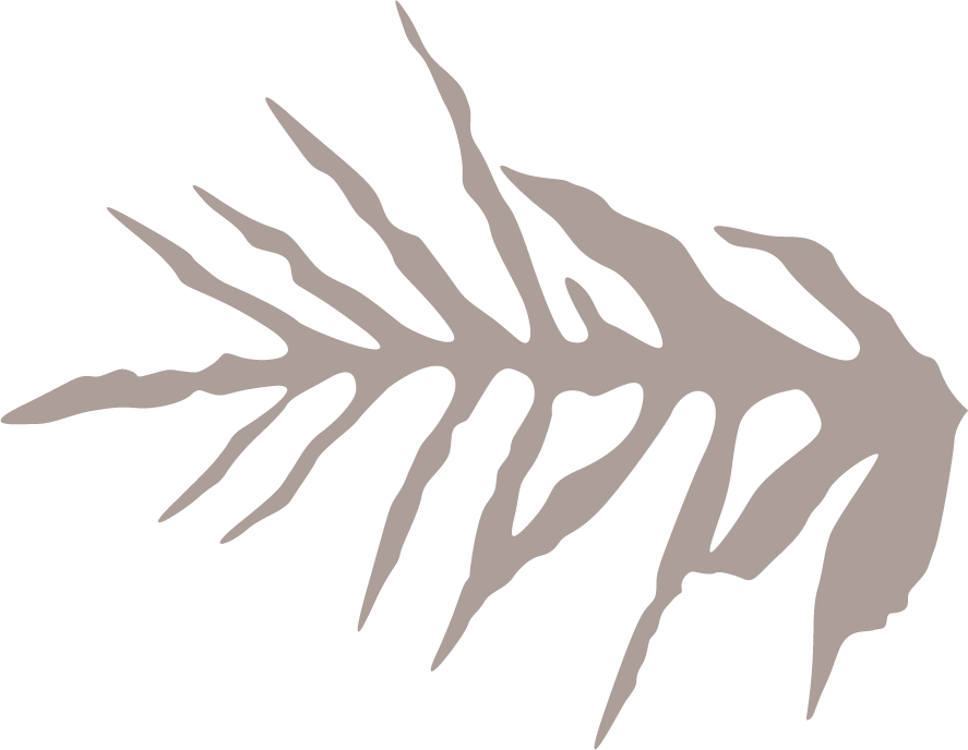 brown palm fronds with irregular edges facing the left against black background