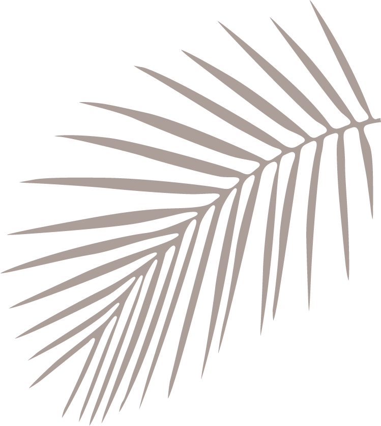 Palm tree leaves