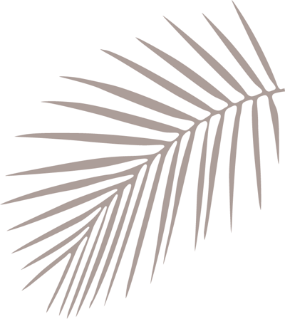 brown palm fronds facing towards the left against black background