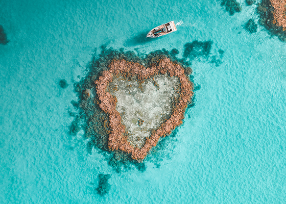 qualia resort activity of luxury Heart Island experience showing aerial of boat amongst reef