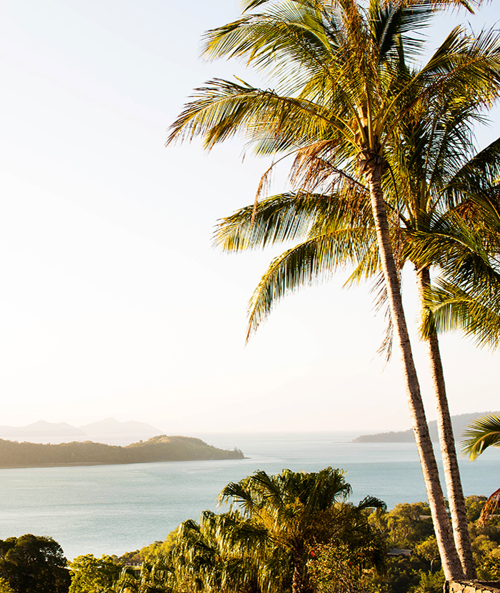 qualia resort sunset view of the sea from Palm Beach with golden sunlight
