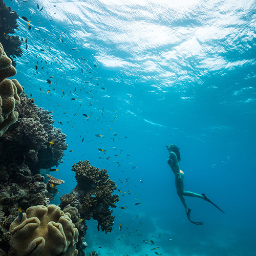 qualia woman observing fish and coral underwater in Great Barrier Reef with snorkel and flippers