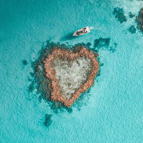 qualia resort activity of luxury Heart Island experience showing aerial of boat amongst reef