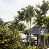 qualia resort view of a covered Beach House deck with sun lounges and Whitsundays views surrounded by palm trees