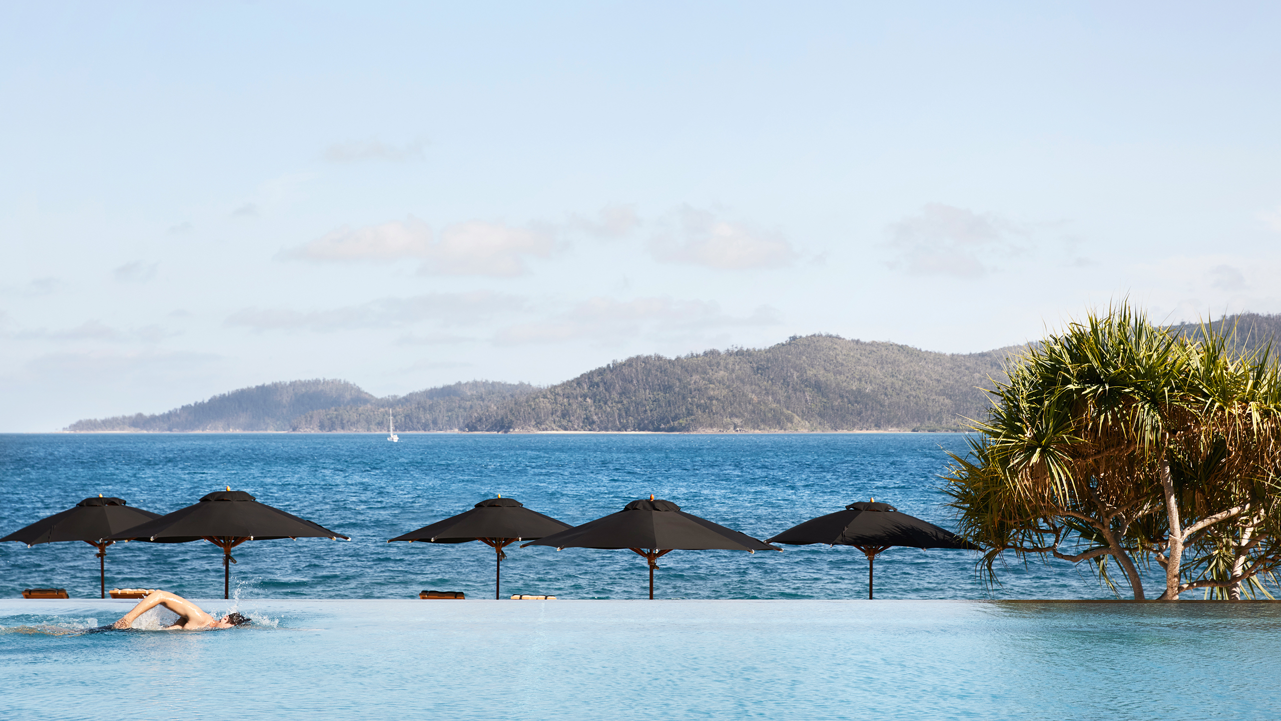 qualia Resort man swimming in Pebble Beach infinity pool with Whitsundays views