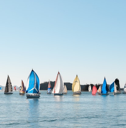 A group of colored sailing fleet in the Whitsundays during Hamilton Island Race Week