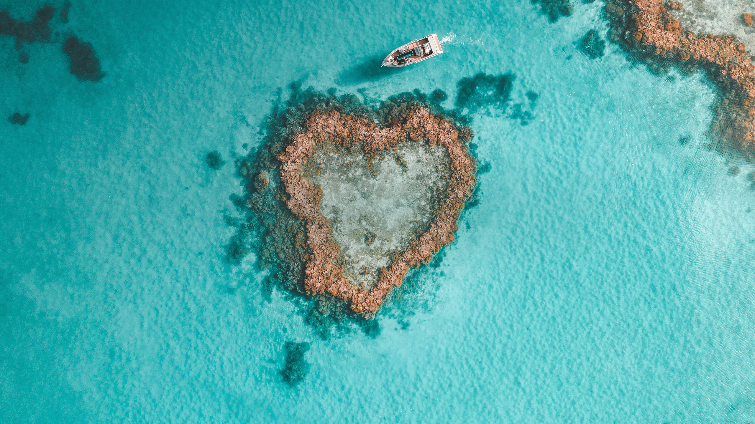 Heart Reef Australia - Heart Island Tour Package | qualia®