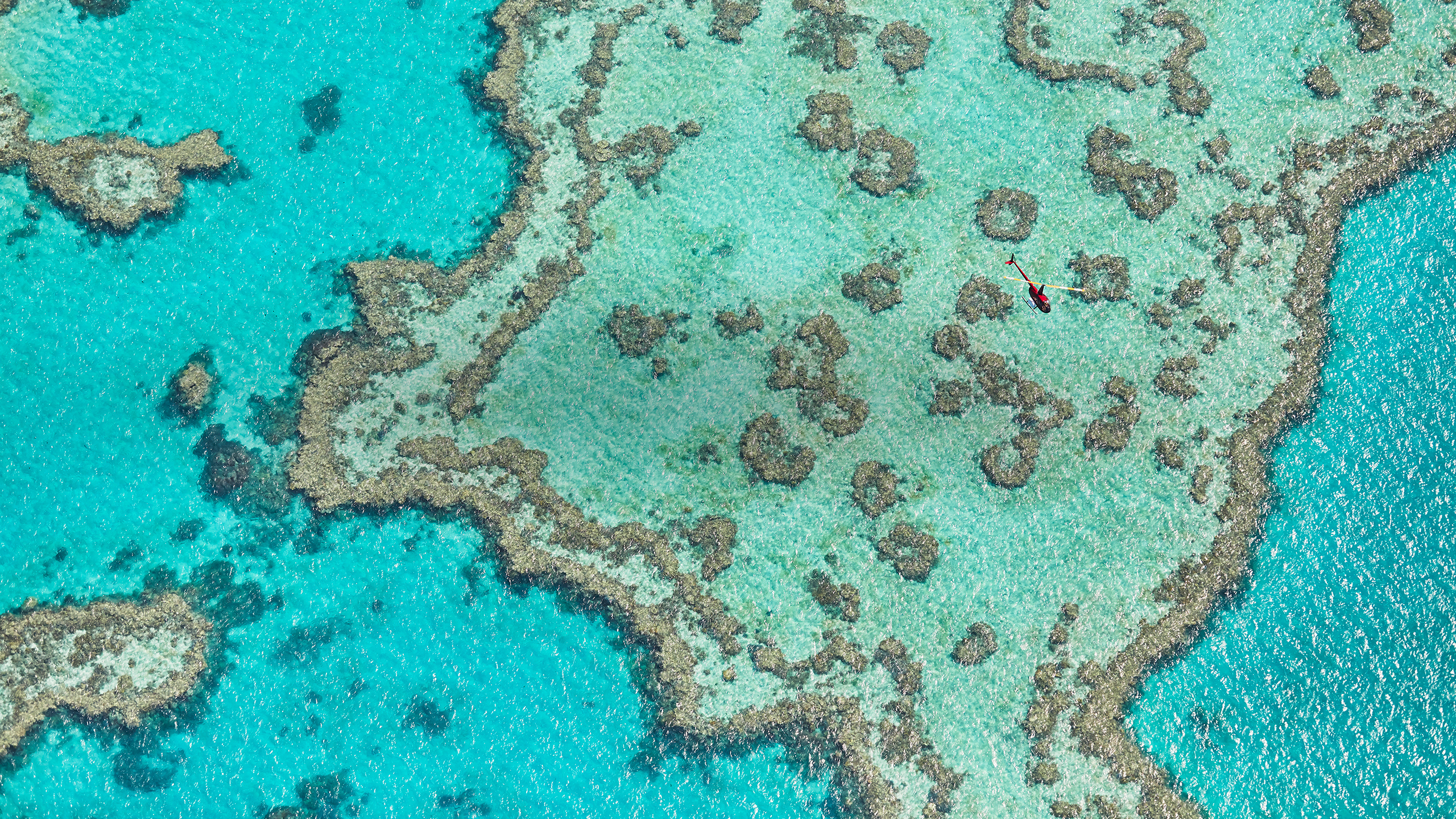 qualia aerial view of turquoise waters in Great Barrier Reef from helicopter scenic flight