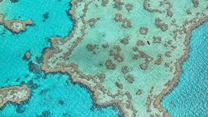qualia aerial view of turquoise waters in Great Barrier Reef from helicopter scenic flight