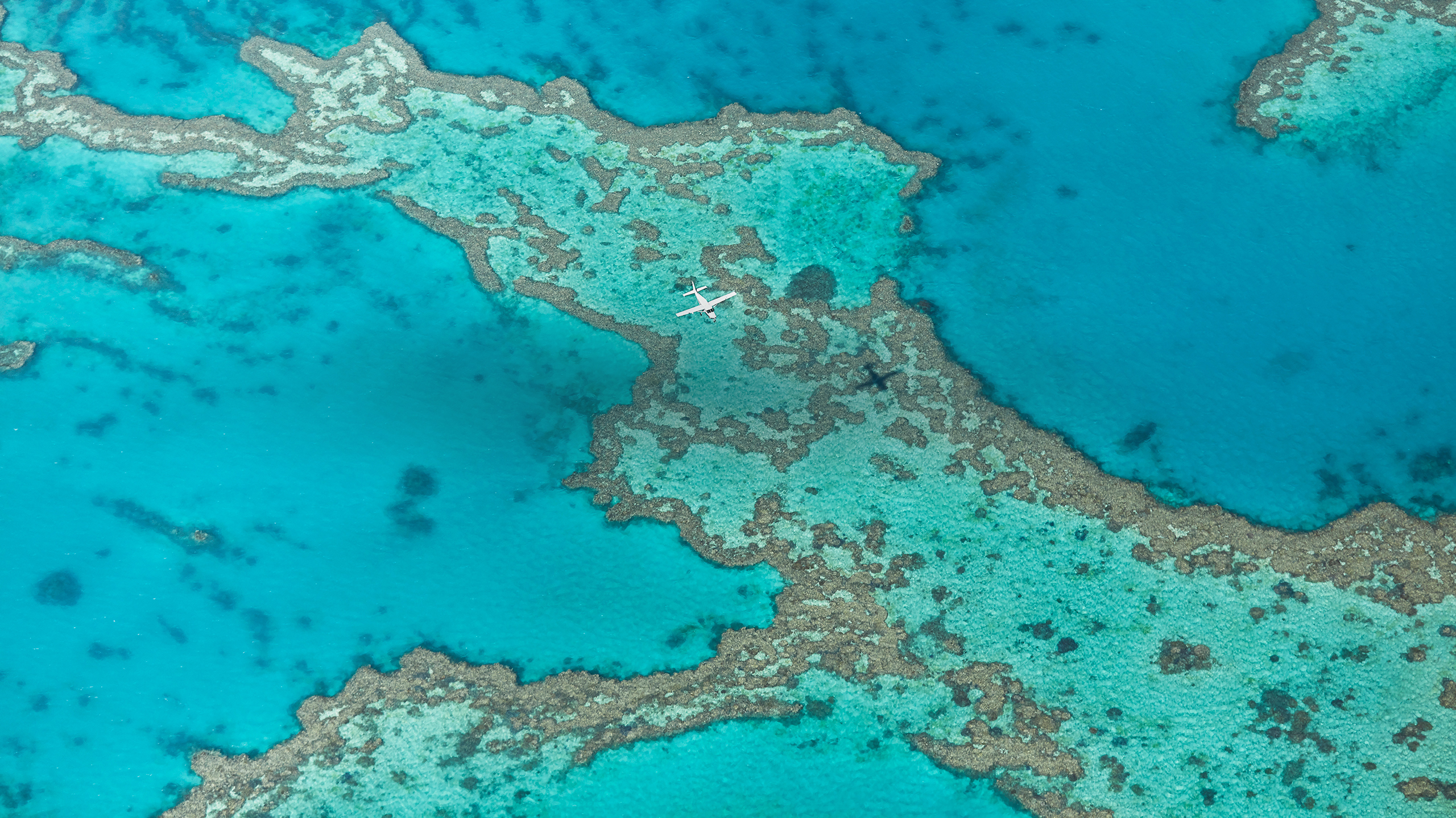 qualia aerial view of luxury sea plane during scenic flight casting shadow on Great Barrier Reef