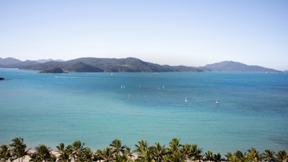 qualia resort aerial view of Catseye Beach lined with palm trees and hobie cats watersports dotted in the sea