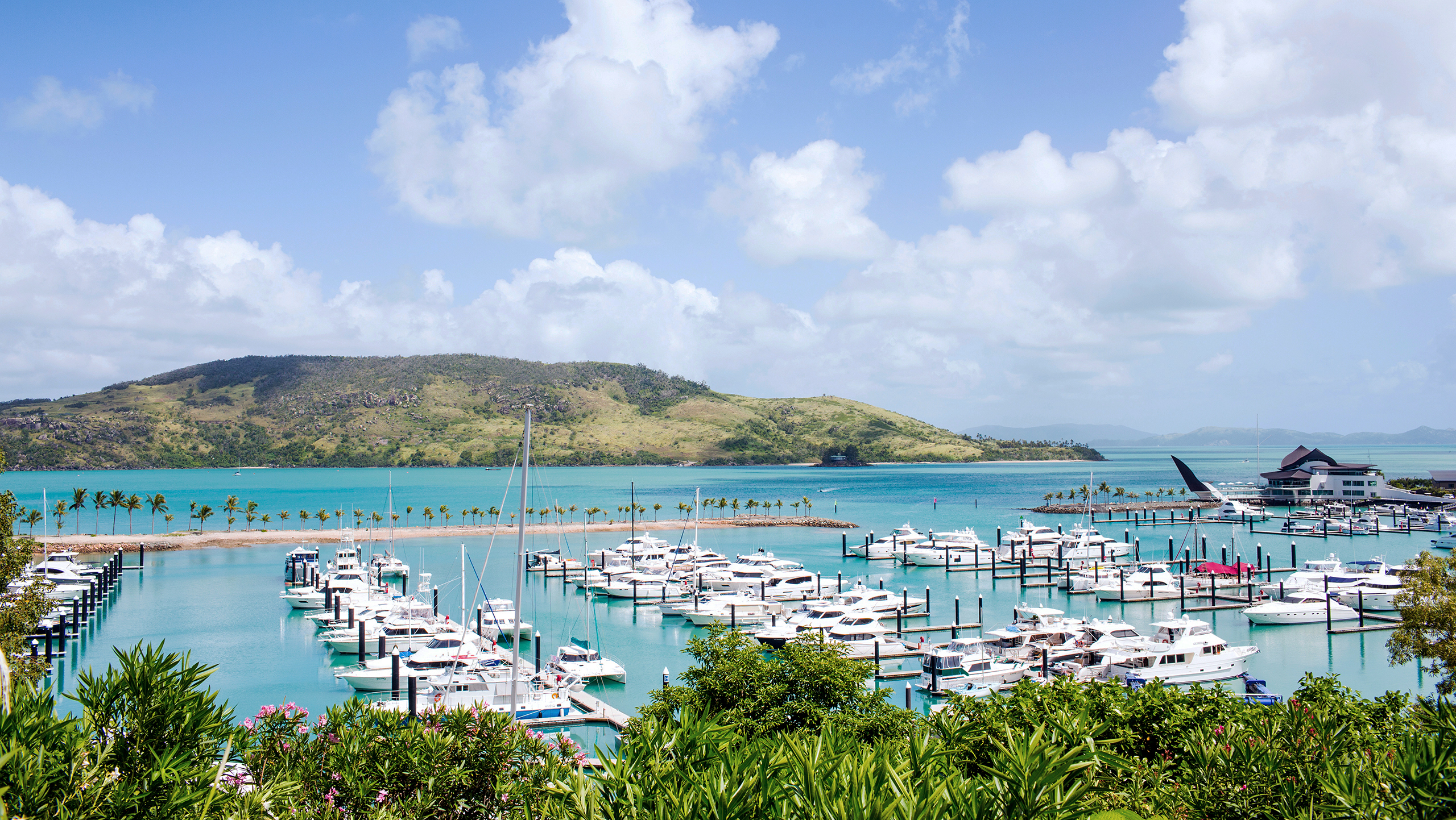 Hamilton Island marina with boats lined up viewed through bushes, with Whitsundays in background